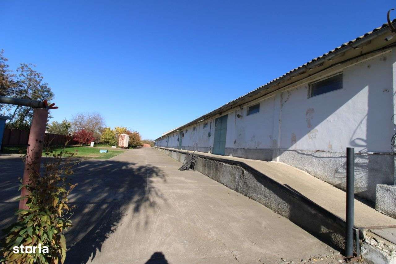 Hala in Independenta - Imagine principală: 1/6