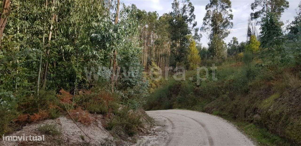 Terreno - Grande imagem: 4/6