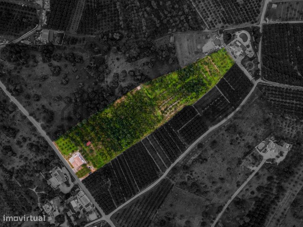 Moradia T3 com Pomar de citrinos no concelho de Silves - Grande imagem: 2/36