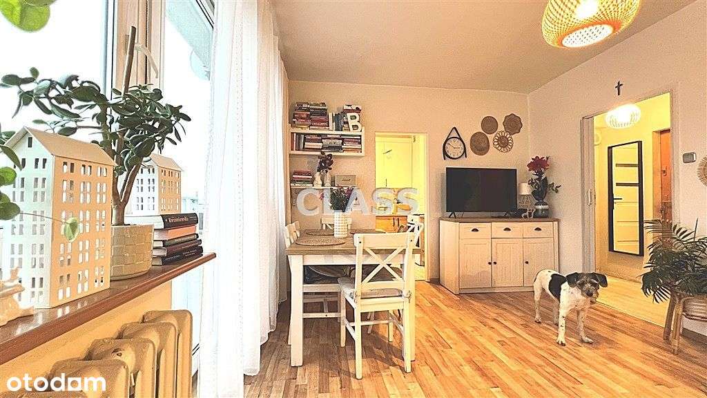 Klasyczna kawalerka z wnęką na Wyżynach - Pełny obrazek: 4/13