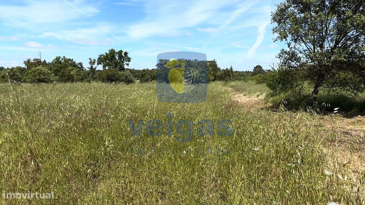 Terreno com 3.480m² em Fátima, área urbanizável de 1.000m2, com projet-10