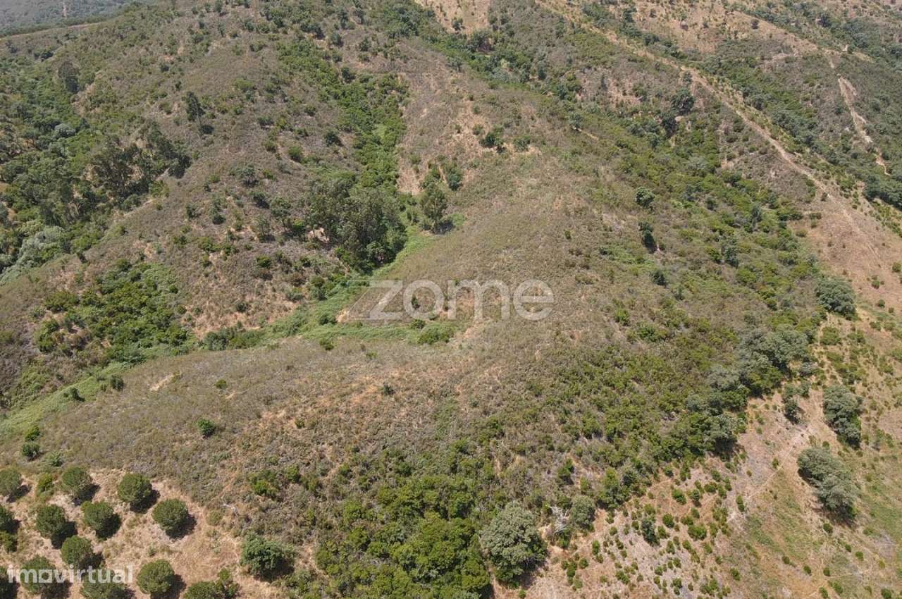 Terreno Rústico em Vale Bezerra, São Marcos da Serra c/ 6.2 hectare... - Grande imagem: 5/16