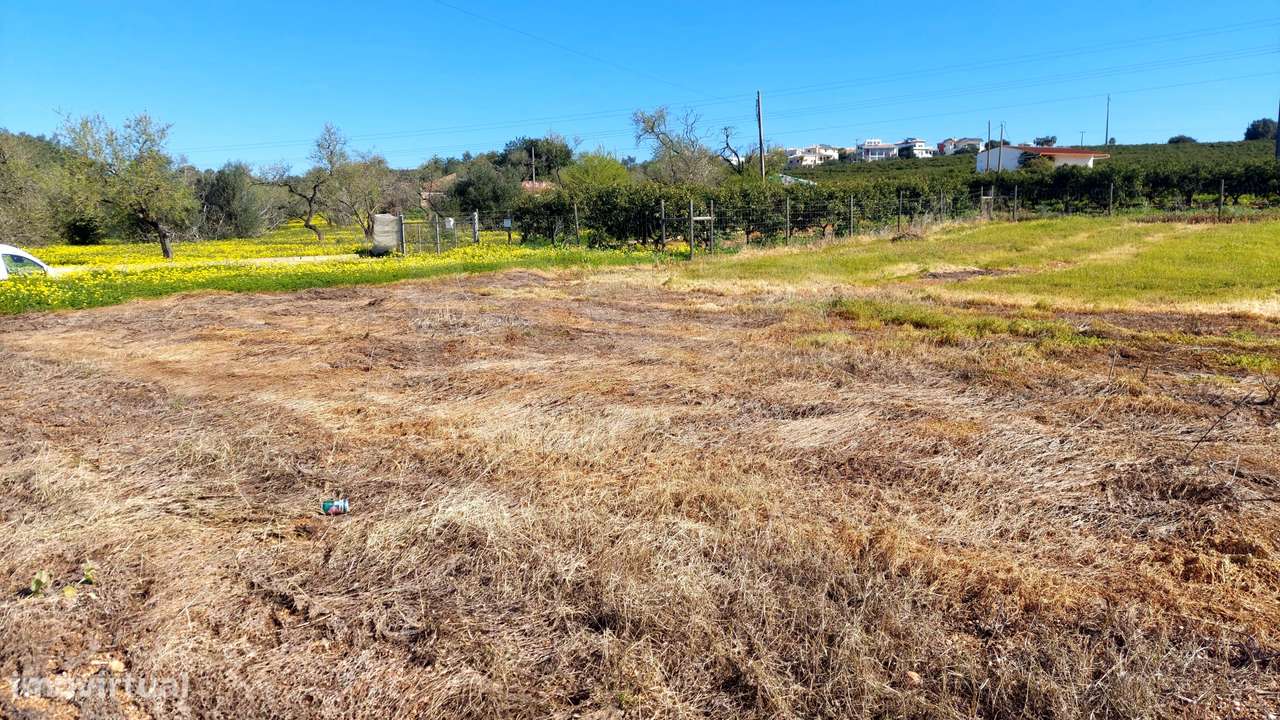 Lote de Terreno Rustico - Grande imagem: 4/6