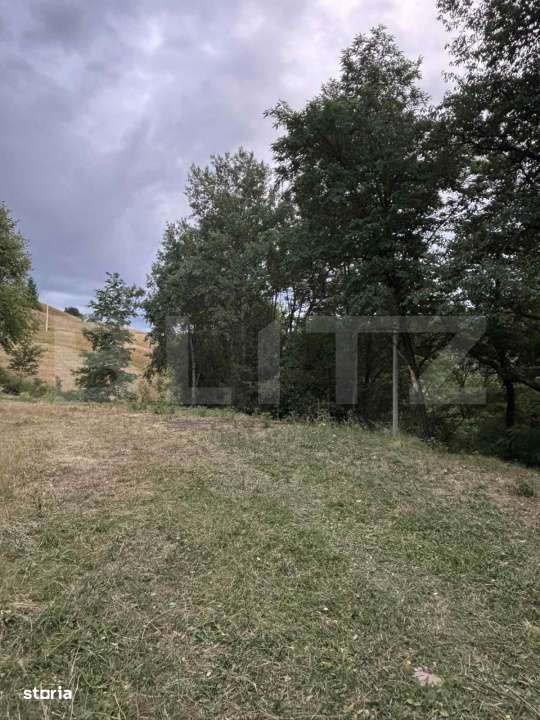 Teren intravilan de 1585 mp, Campeni - Imagine principală: 3/6