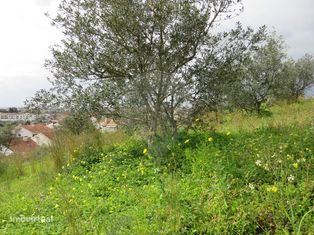 Terreno  para venda - Grande imagem: 5/7