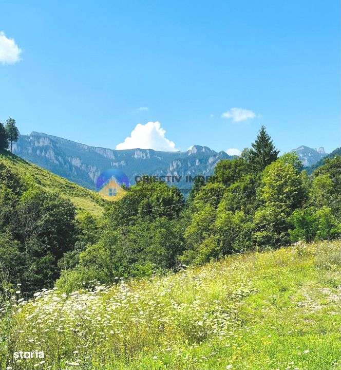 TEREN Izvoru Muntelui, langa orasul BICAZ - Imagine principală: 4/9