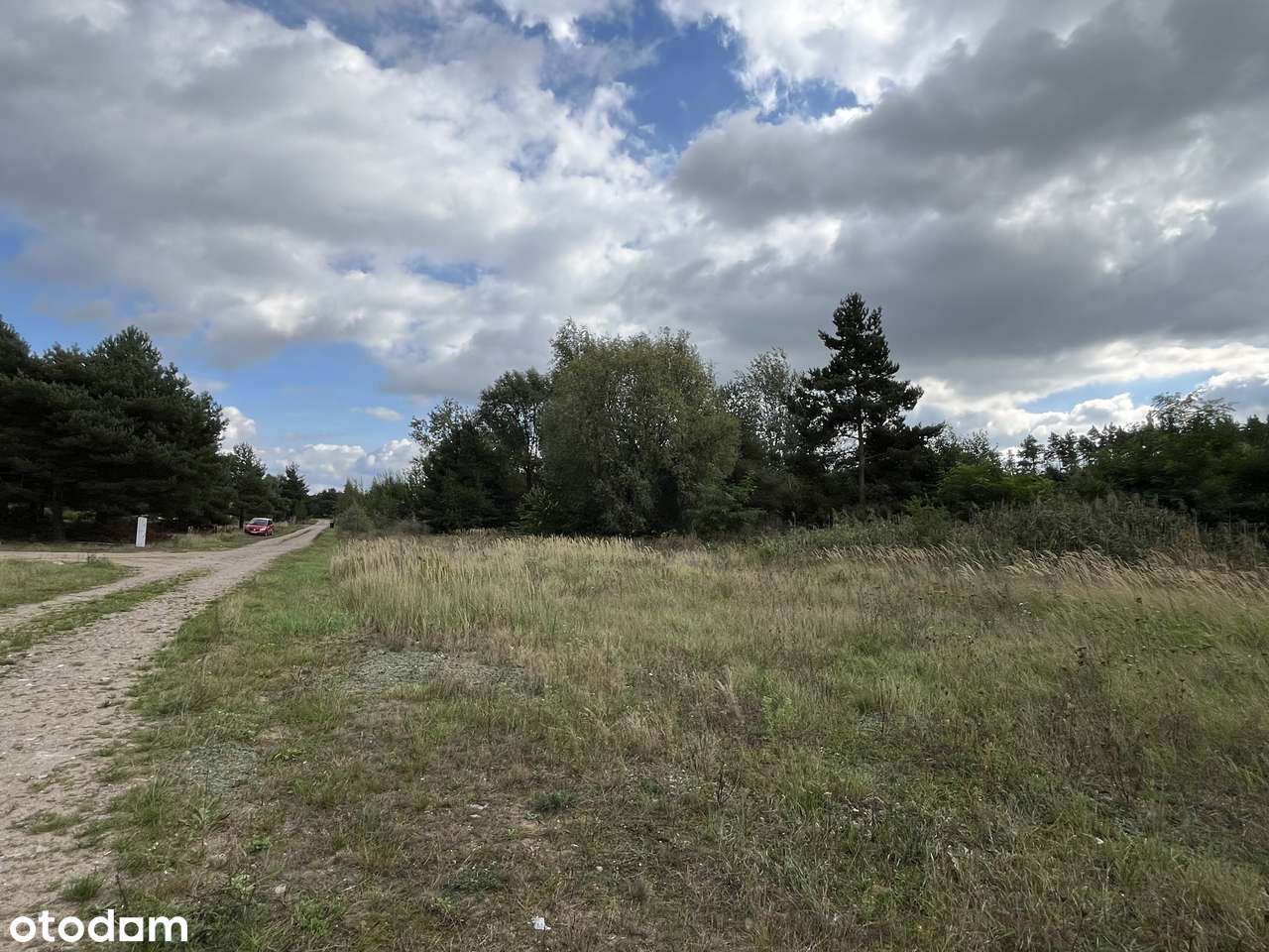 Działki budowlane w lesie blisko Wrześni Psary-4