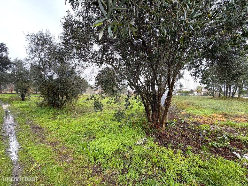 Terreno para construção de moradia - zona calma - VAGOS - Grande imagem: 3/22