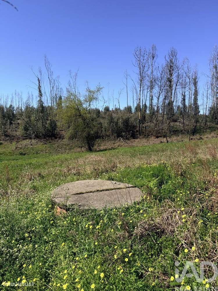 Terreno em Macinhata do Vouga - Grande imagem: 2/12
