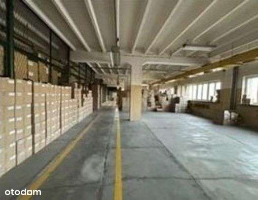 Konkurs ofert - ul. Stroma nr 8 - Pełny obrazek: 4/6