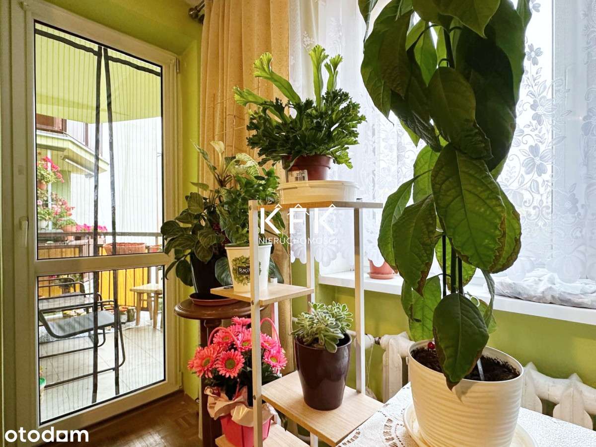 Trzy niezależne pokoje Blok Cegła Balkon Film-2