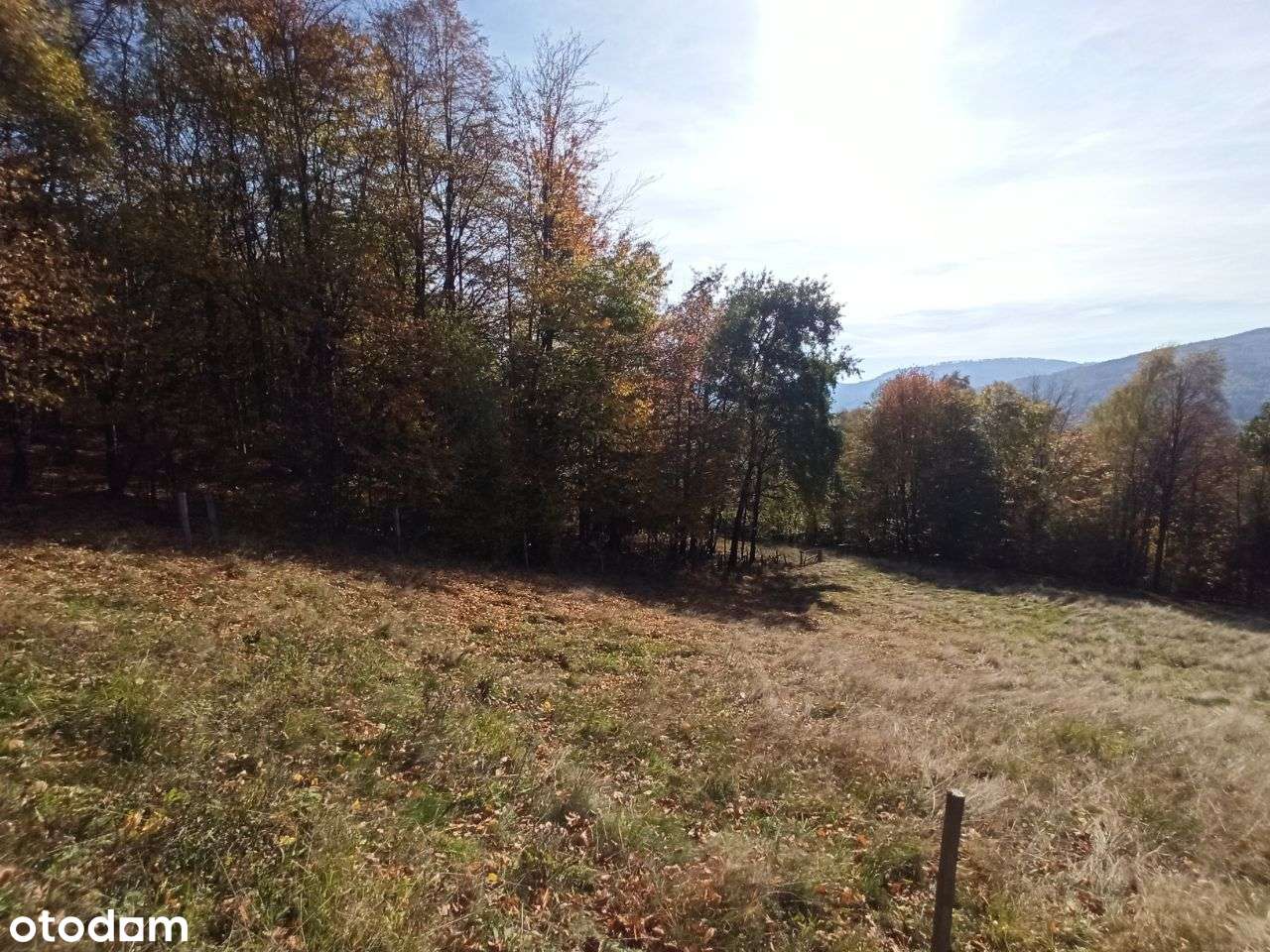 Widokowa działka bud. 2118m2 w Brennej - Pełny obrazek: 4/5