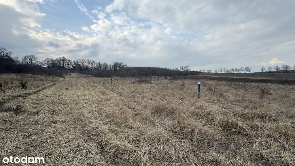 Warunki zabudowy, prąd, woda. - Pełny obrazek: 5/10