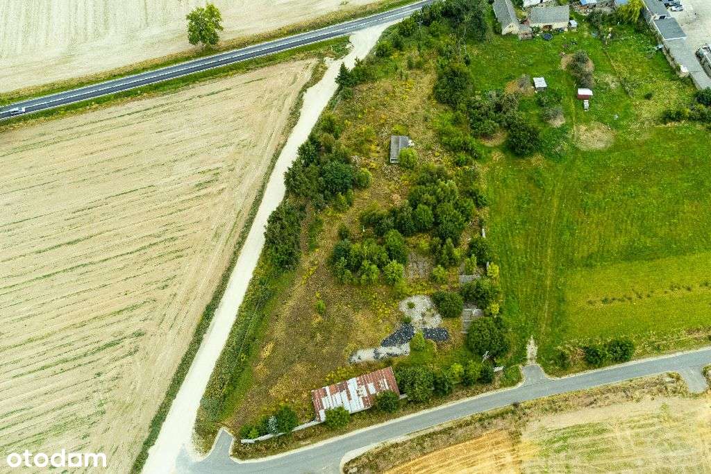 Działka inwestycyjna Niedaszów gm. Mściwojów - Pełny obrazek: 4/6