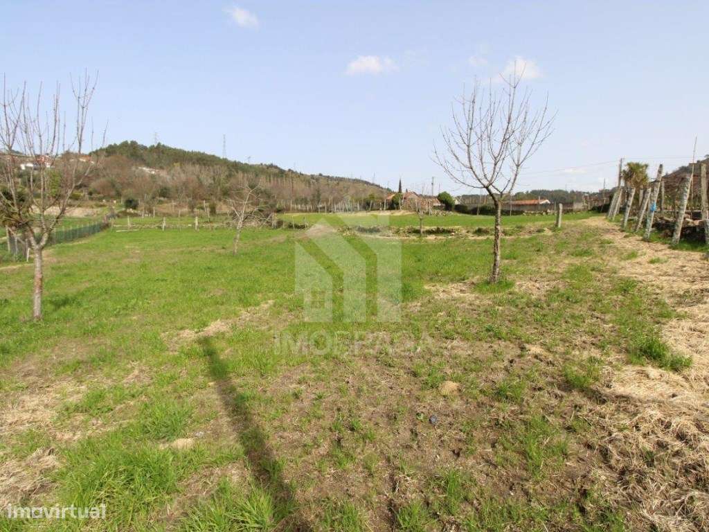 Venda Terreno com possibilidade de Lotear, em S. Mamede (Este), Braga-8