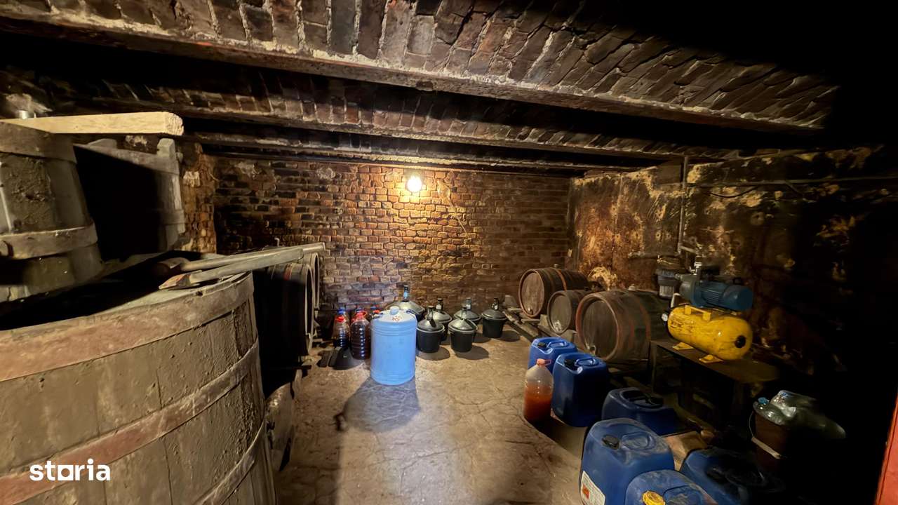 Casa de vacanta la 100m de strandul cu apa termala-13