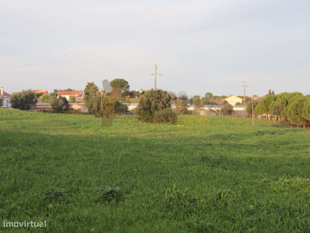 Terreno para construção com 13.000 m2, a 5 minutos de Tomar. - Grande imagem: 5/33