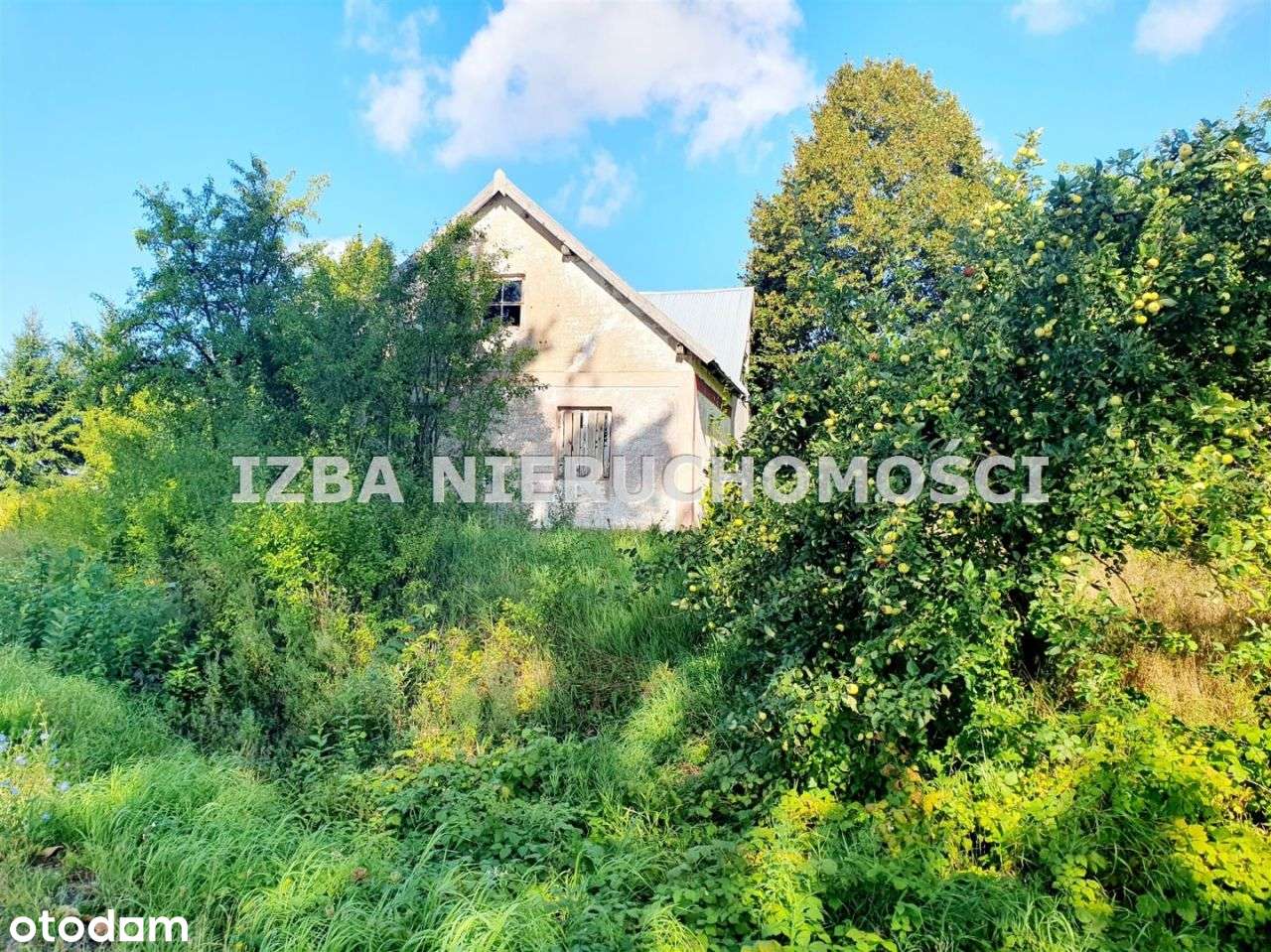 Działka, 88 000 m², Czaple-0