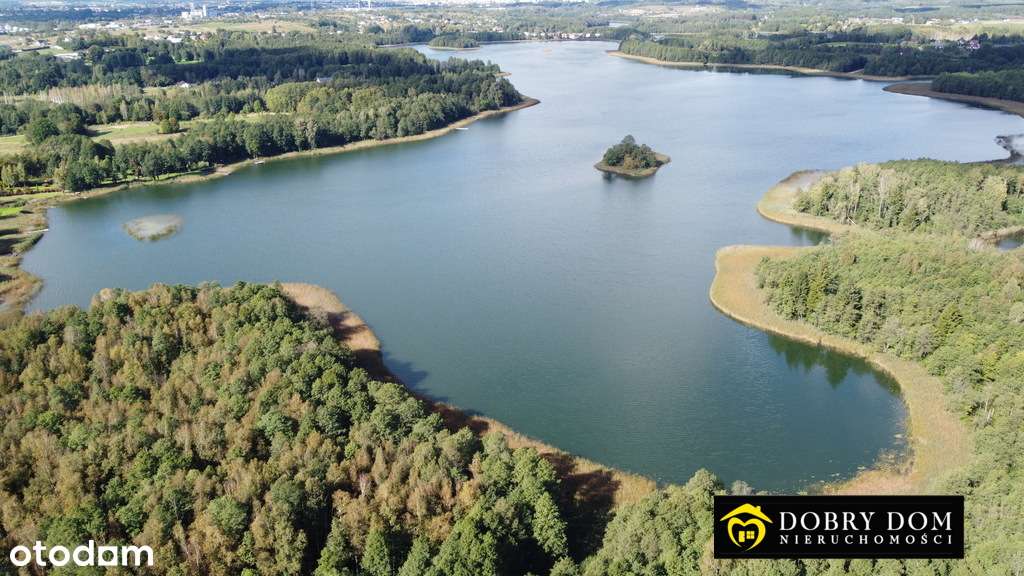 Linia brzegowa jeziora/2ha/Suwalszczyzna/Okazja! - Pełny obrazek: 5/16
