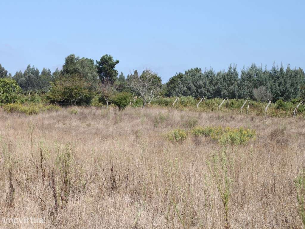 Terreno para moradias - Aveiro - Grande imagem: 5/11