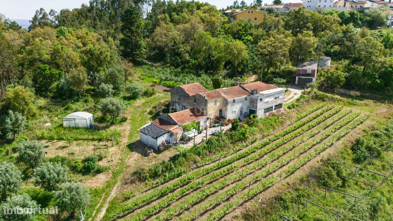 Quinta com 8 hectares com potencial para construção – Antanhol - Coimb - Grande imagem: 5/19