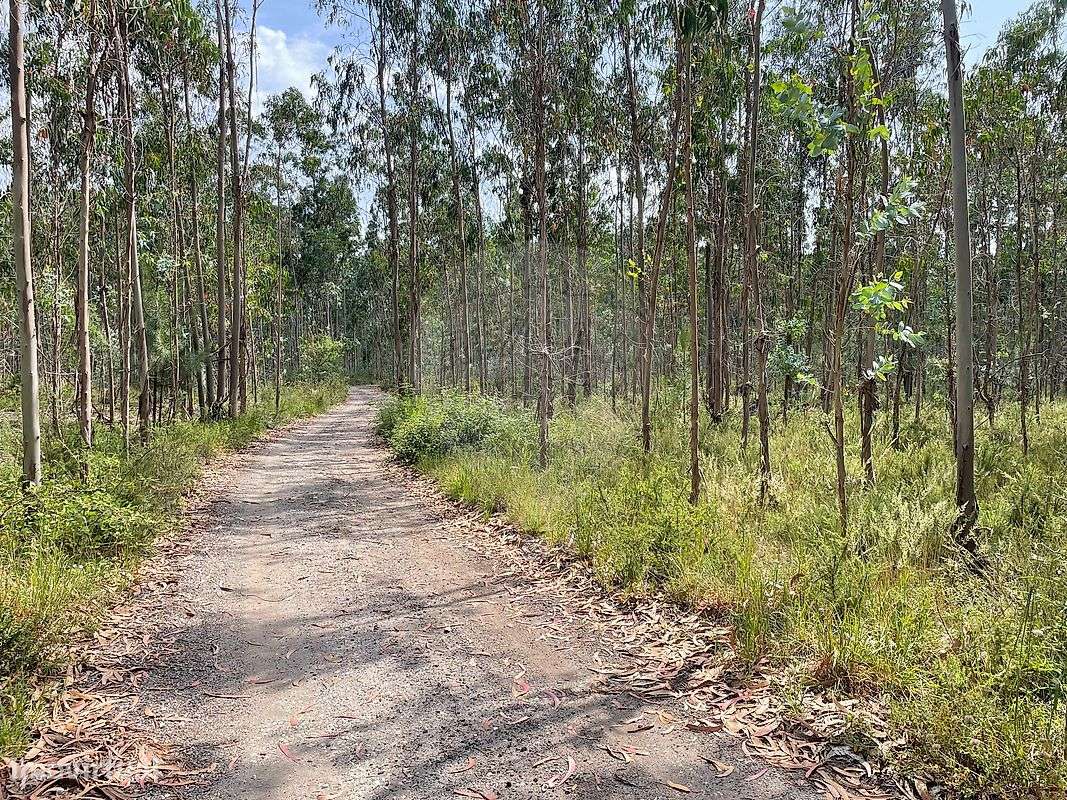 Terreno  para venda - Grande imagem: 4/5