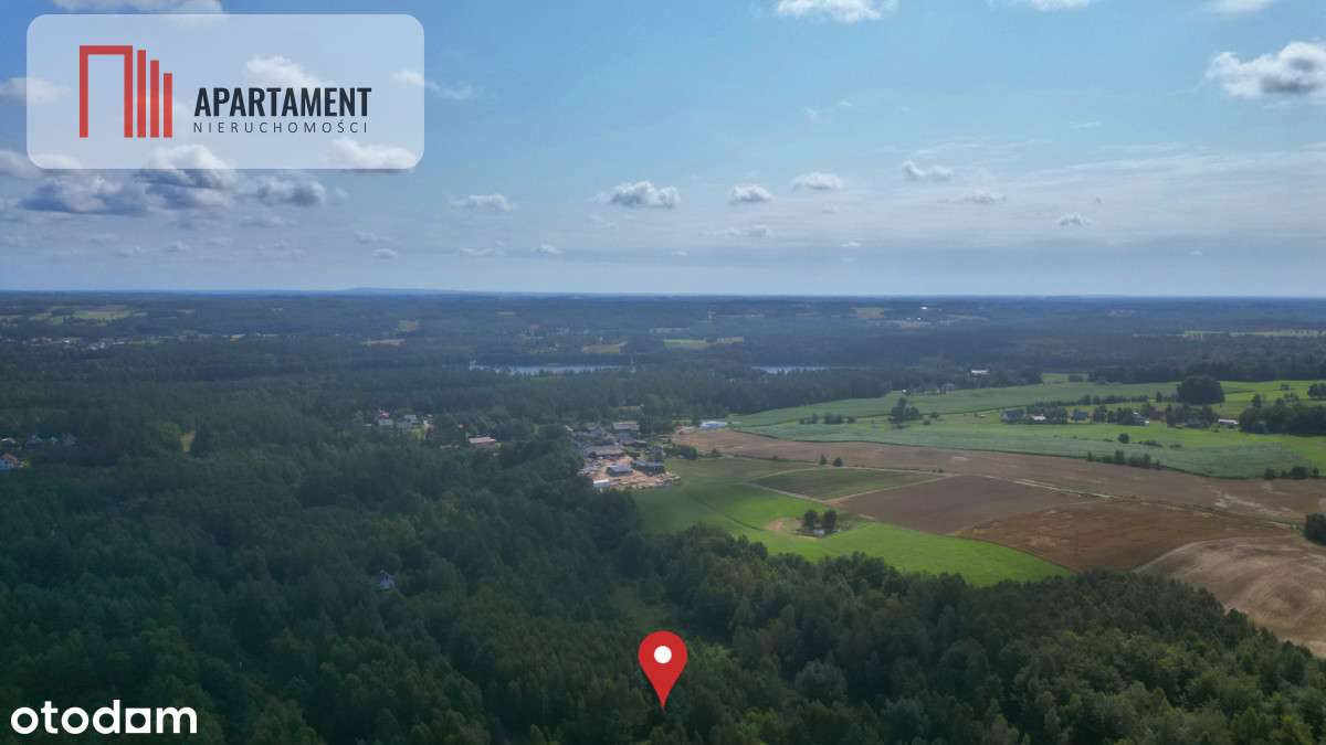 Tylko u nas! Działka blisko natury w Borku - Pełny obrazek: 4/8