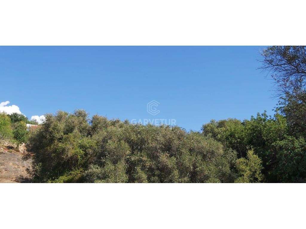 Terreno agrícola, várias culturas, Paderne, Albufeira, Algarve - Grande imagem: 2/27