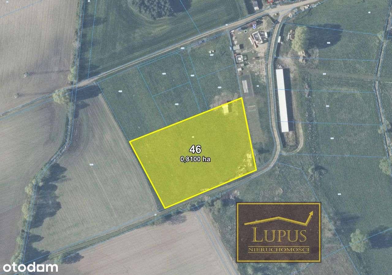 Duża działka w Rekowie - Pełny obrazek: 2/11