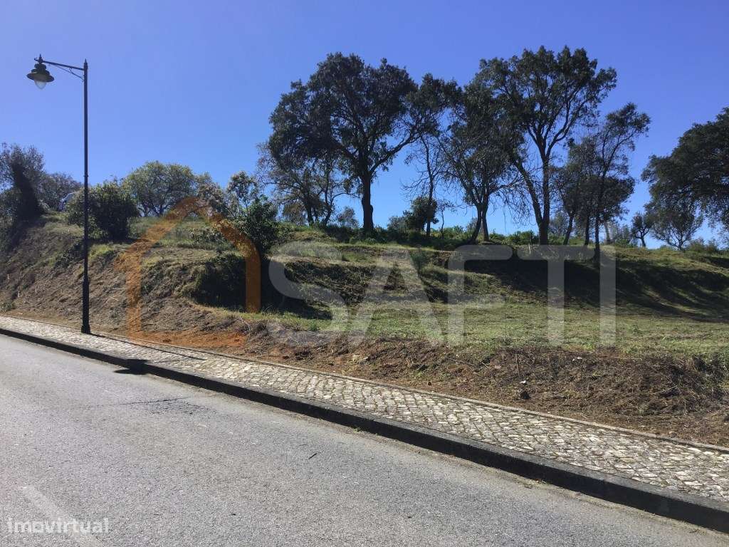 Terreno para Investimento com 3.480m2 junto a EN2 em Sardoal - Abra... - Grande imagem: 3/17