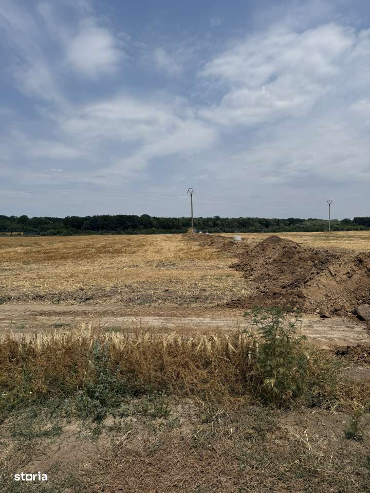 Teren Pantelimon Flamingo-3