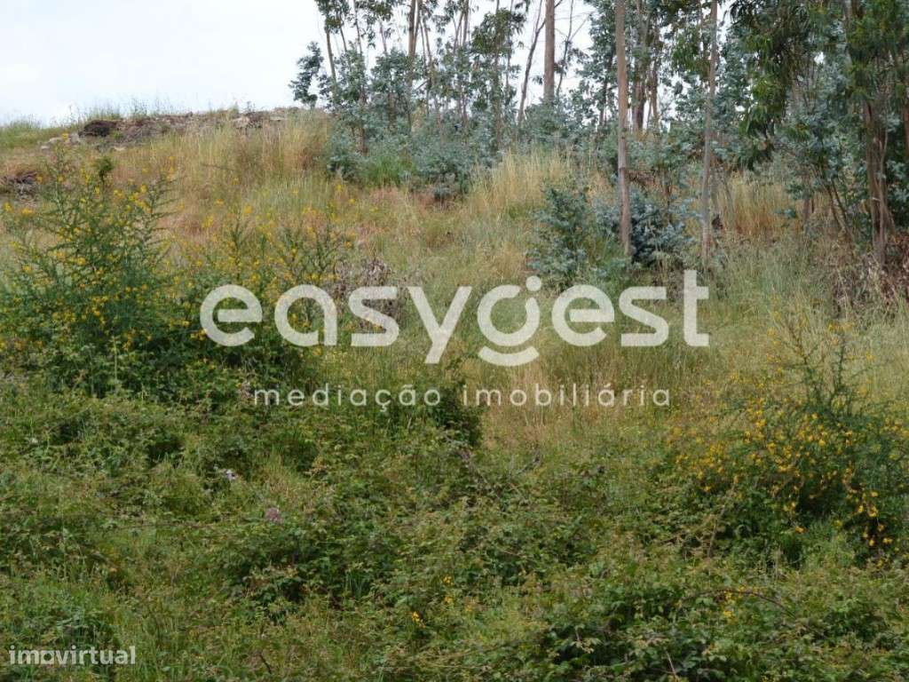 Terreno c/ projeto 8 moradias V3 triplex - Grande imagem: 4/7