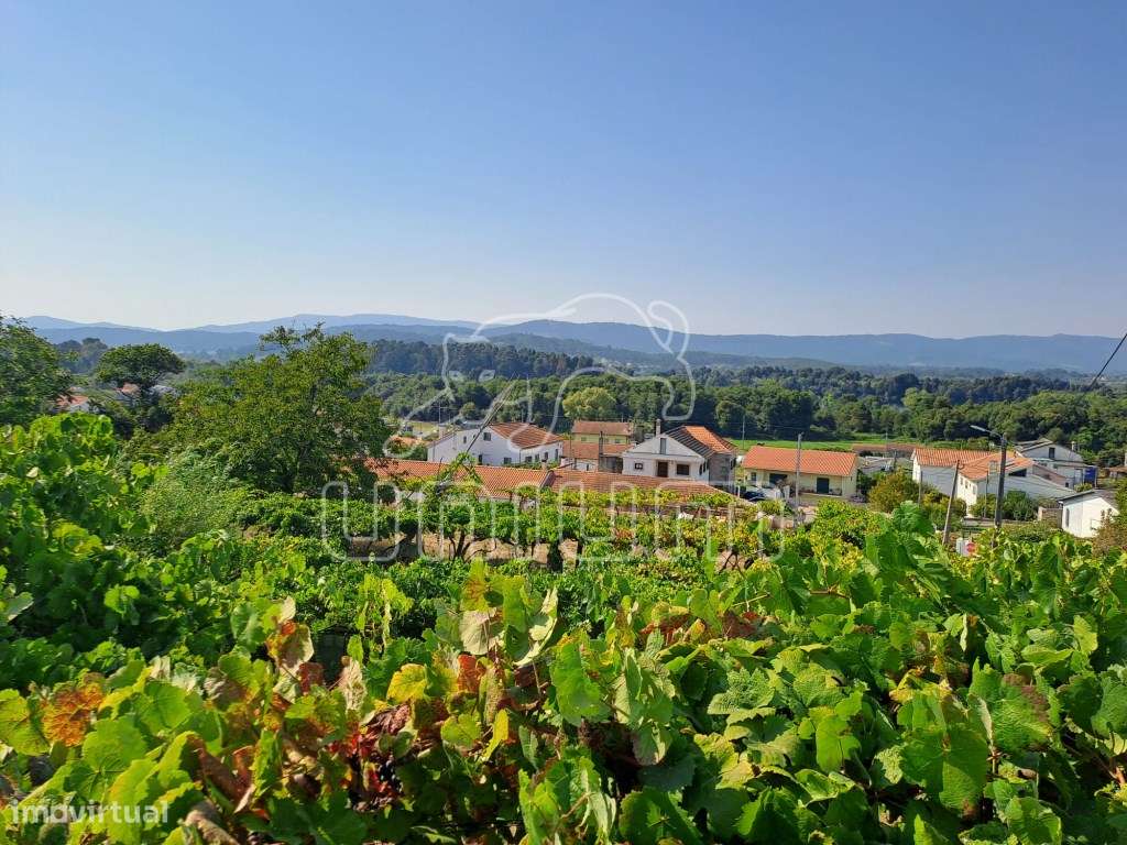 Terreno Urbanizável Gondarém - Grande imagem: 5/16