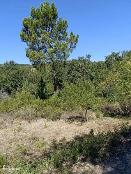 Terreno agrícola com 7040m2 - Grande imagem: 4/9