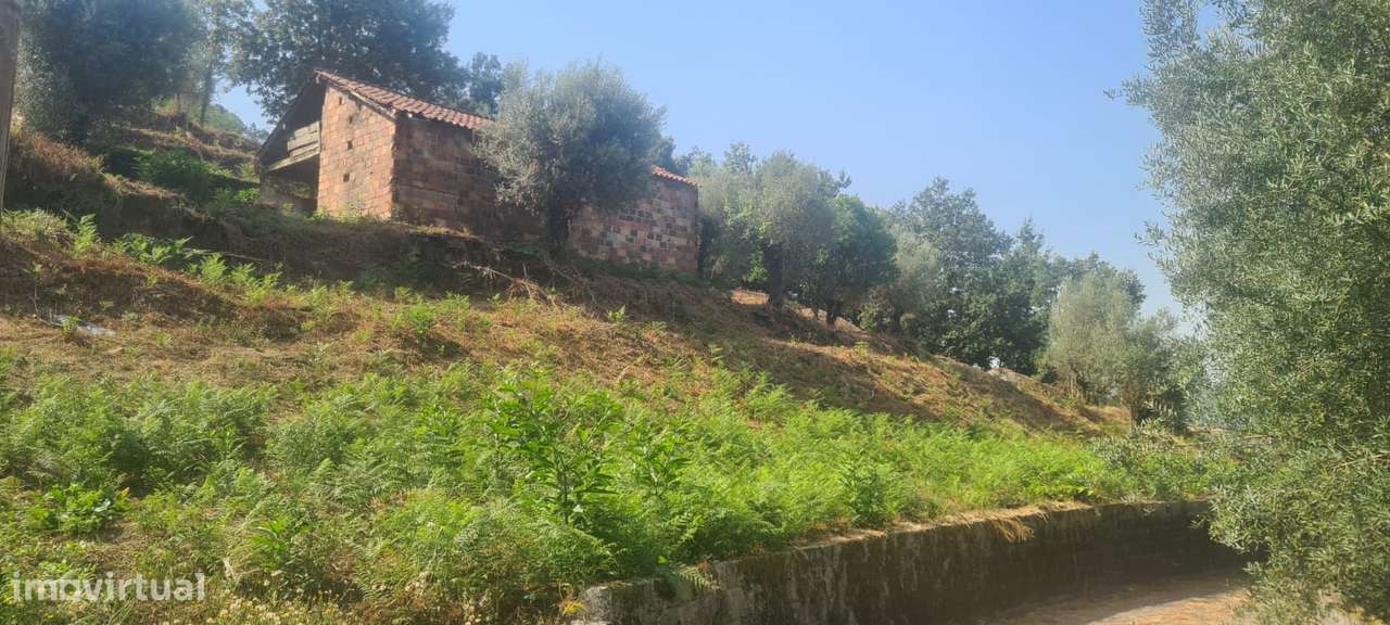 Terreno para construção em Deocriste.-1