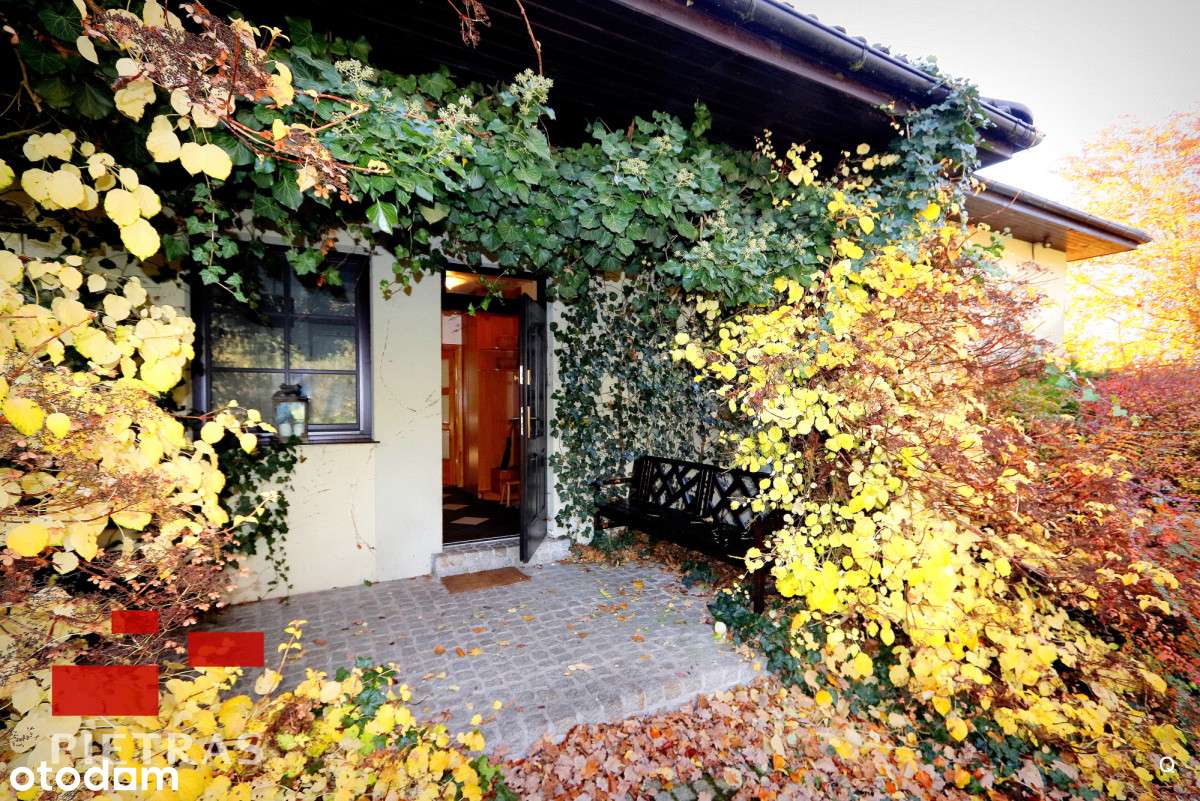 Wyjątkowe Puszcza Zielonka 3 działki z WZ-13