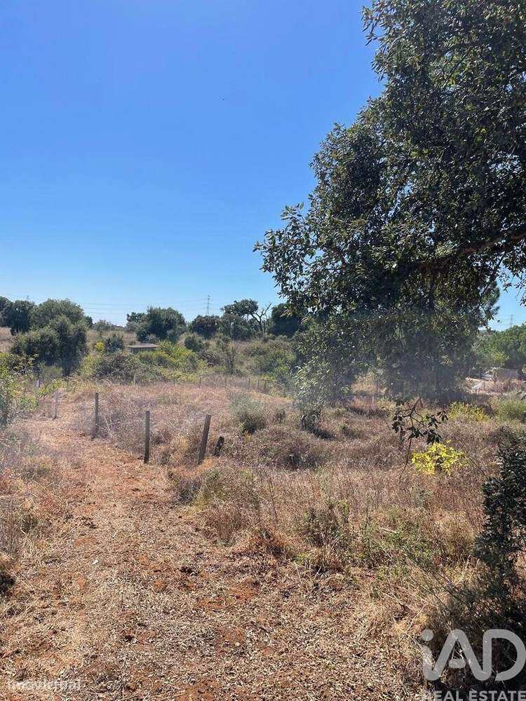 Terreno em Palmela - Grande imagem: 2/6