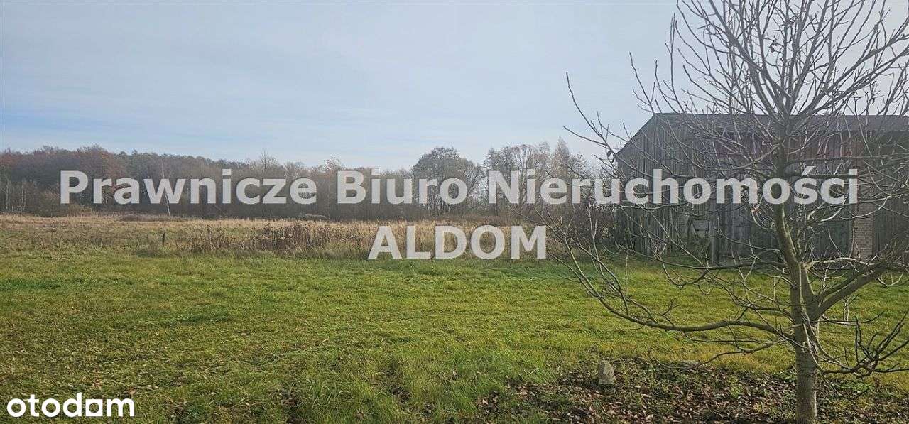 Działka usługowo rolna, Przygorzele, gm Świerczów-2