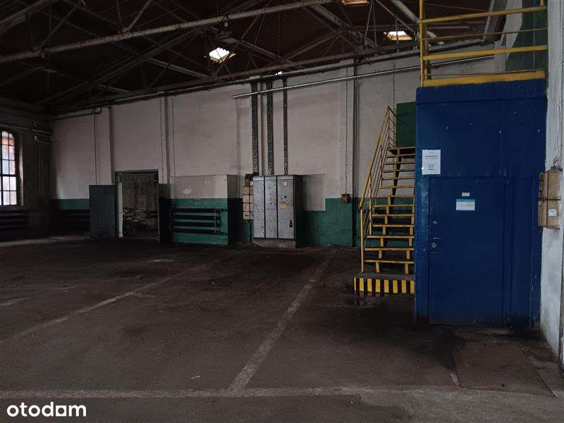 Tarnowskie Góry, ul. Fabryczna - hala wachlarzowa 623,00 m2 - Pełny obrazek: 5/13
