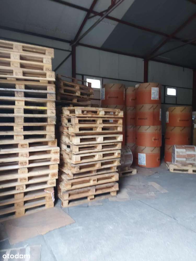 Hale Produkcyjno-magazynowe 1250 m2, na działce 3150m2 - Pełny obrazek: 5/5