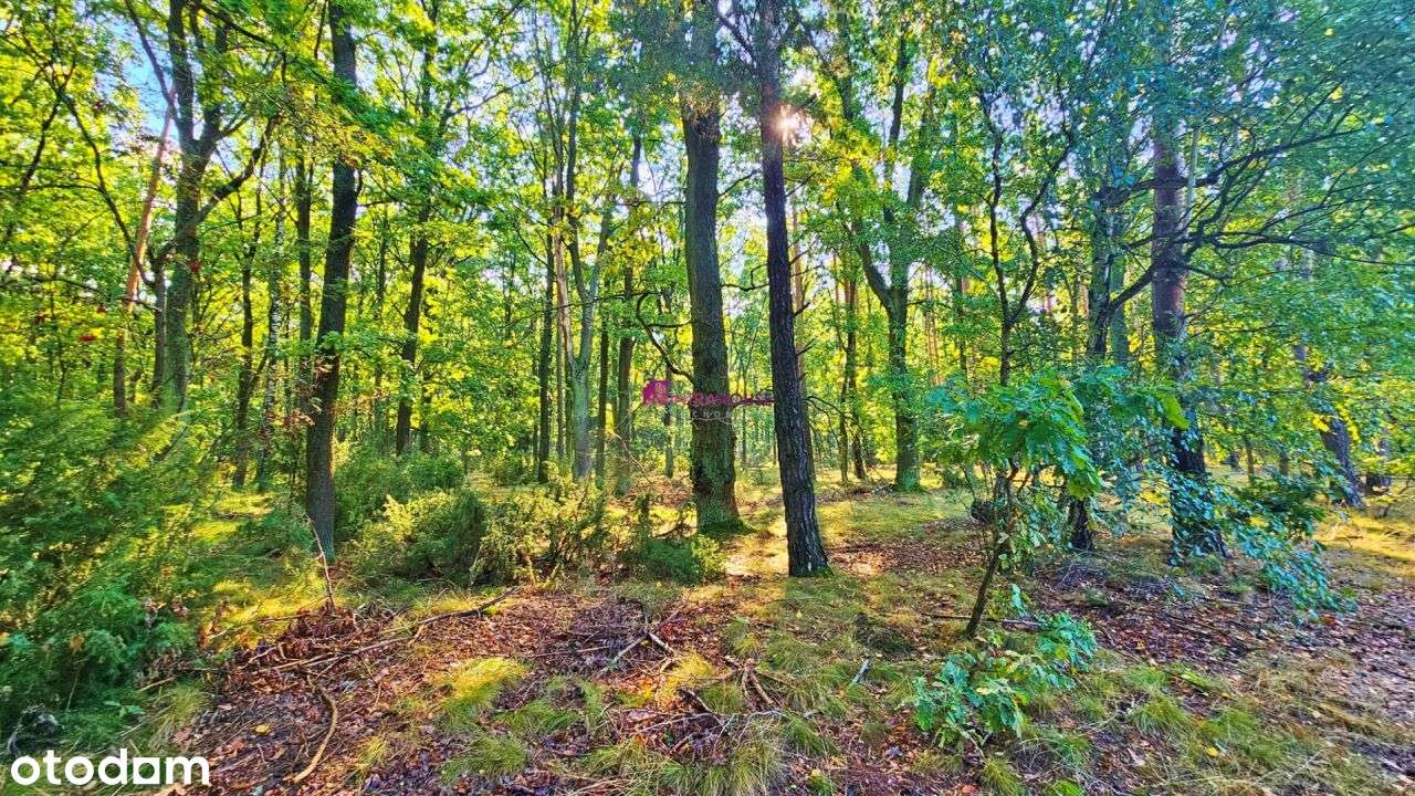 Zamieszkaj W Burlakach-3