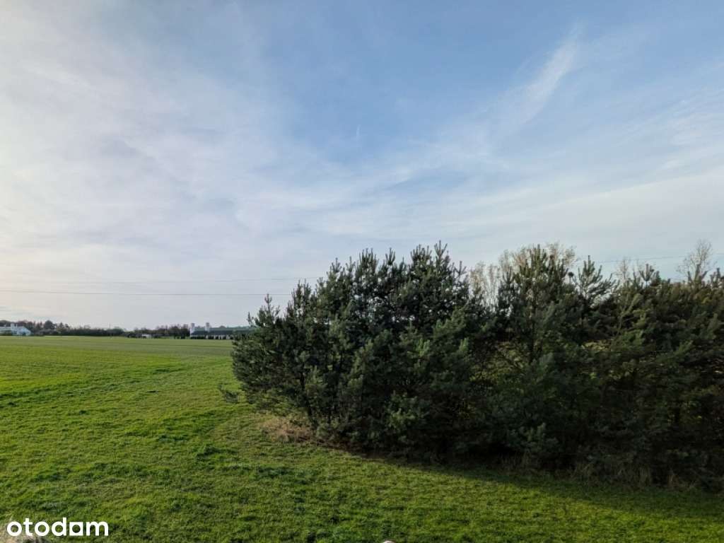 dom pod Opolem w stanie developerskim-3