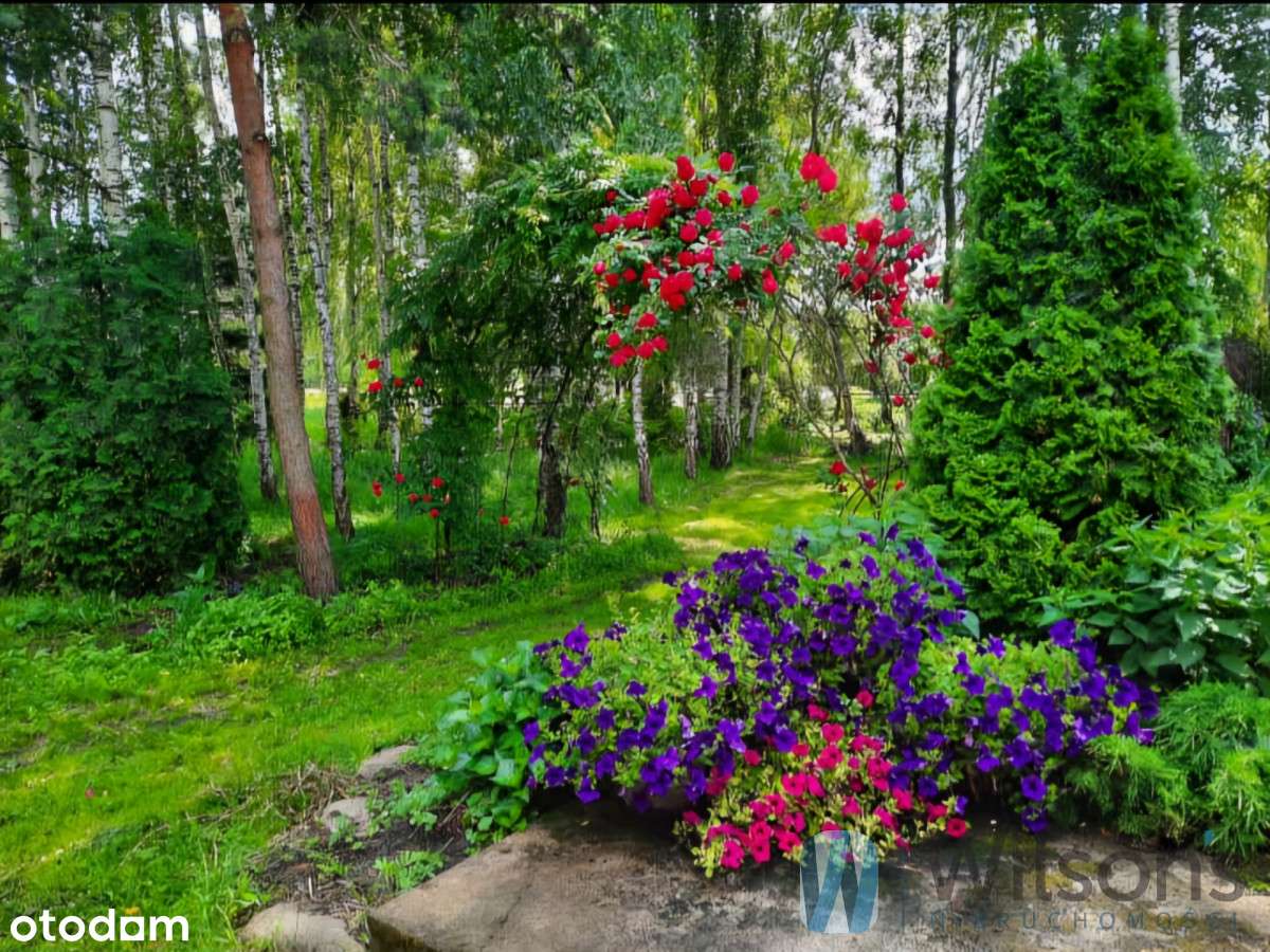 Wyjątkowa posiadłość w Józefinie! 1,8 ha. - Pełny obrazek: 4/11