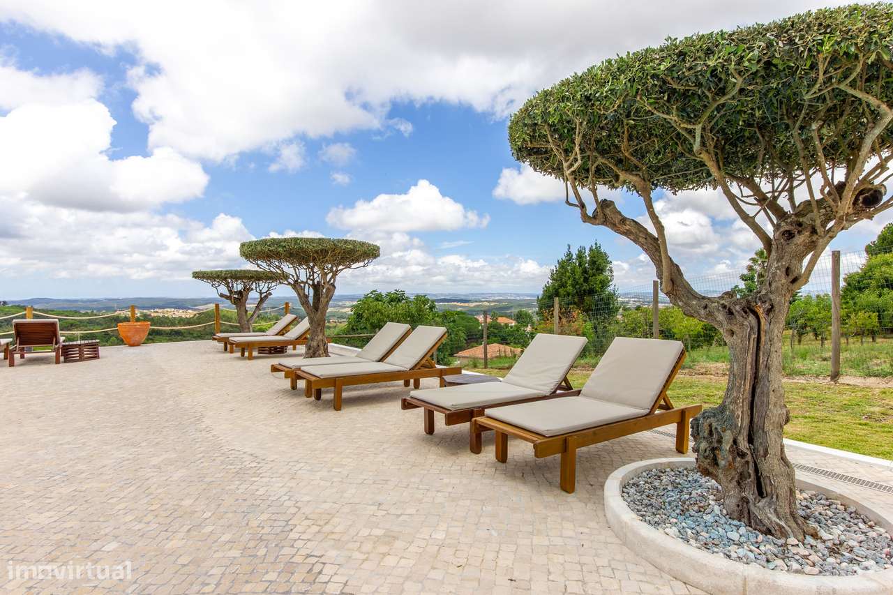 Pragança / Cadaval - Quinta com 9.000m² para habitação e Turismo Rural-8