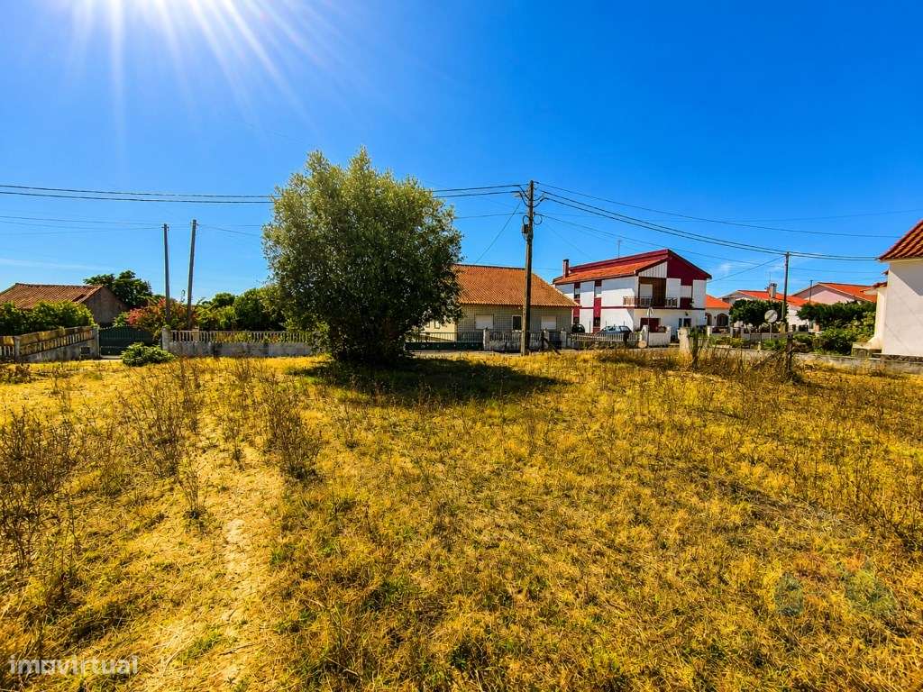 Terreno urbanizável a 5 minutos de Tomar-3