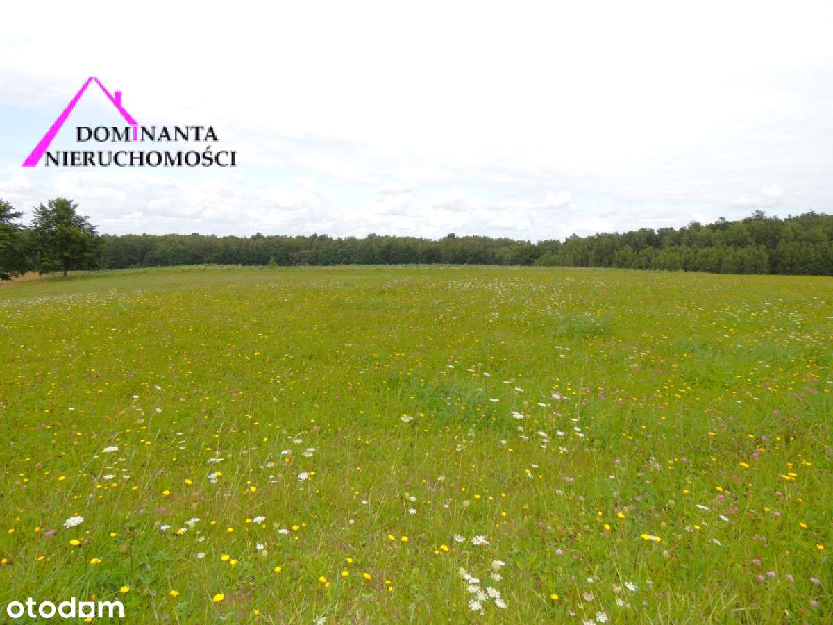 Działki rolne blisko lasu na Mazurach, 10 ha.-14