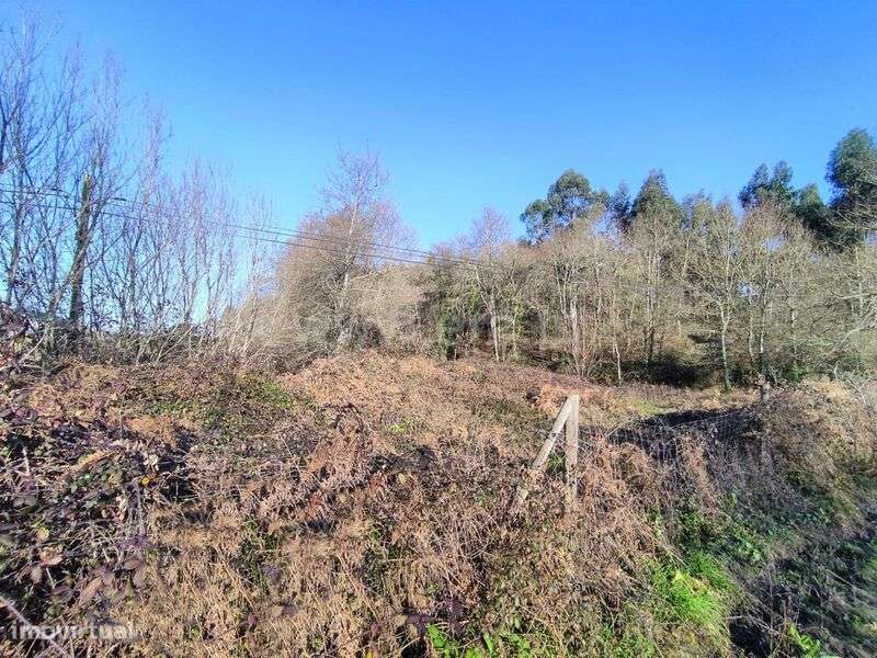 Terreno / Paços de Ferreira, Eiriz - Grande imagem: 5/6