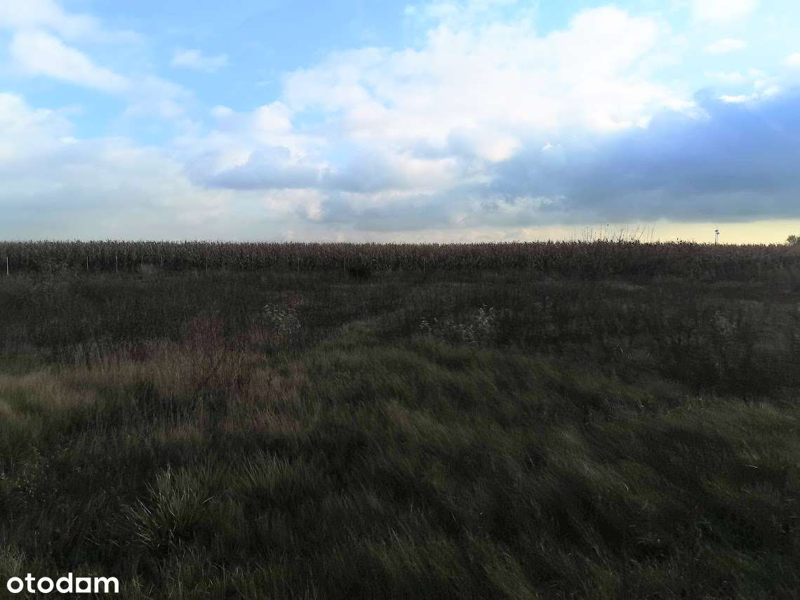 działka 2681m2/ budynek 50m2/ możliwość budowy domu-10