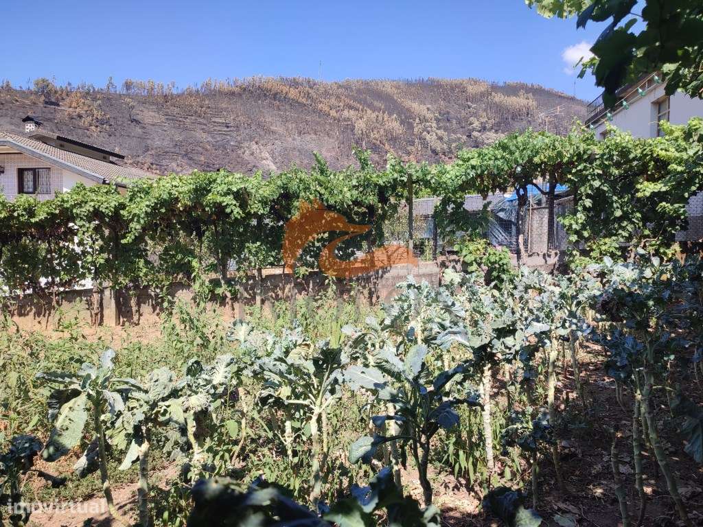 Casa com jardim em Pomares, Arganil-20