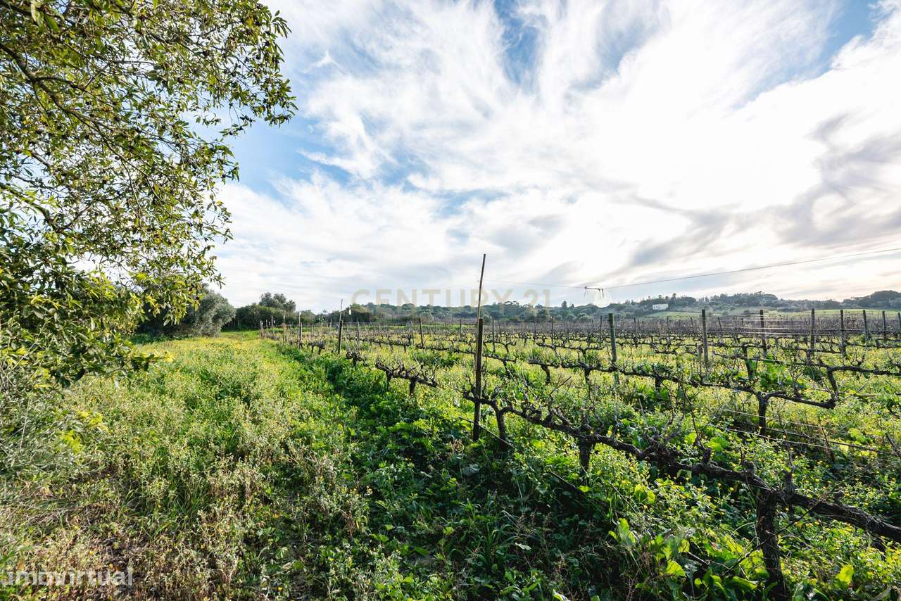 Quinta das Baldrucas-48